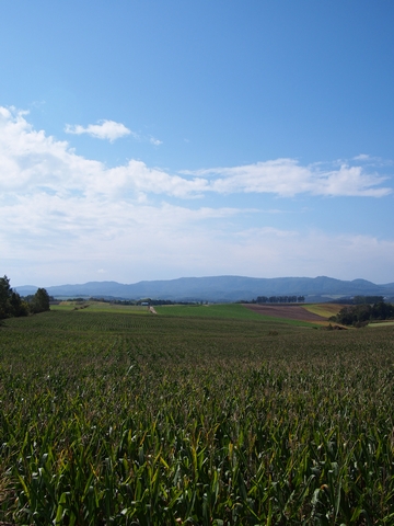 b0042334_936588.jpg