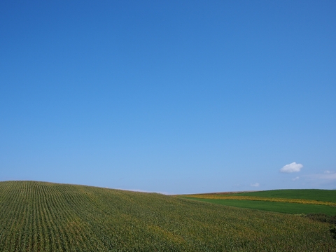b0042334_937653.jpg