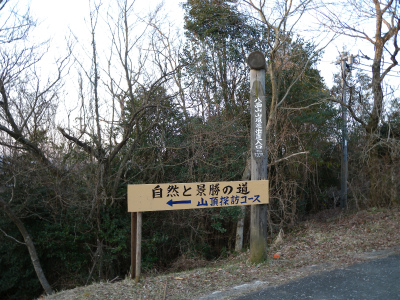 e0272335_1236478.jpg