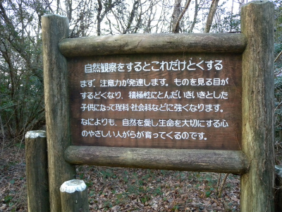 e0272335_1585517.jpg