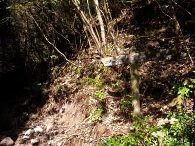 e0272335_1750371.jpg