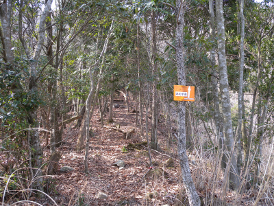 e0272335_19172377.jpg