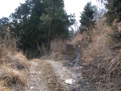 e0272335_19234037.jpg