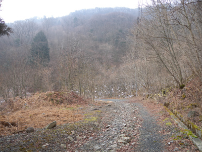 e0272335_539798.jpg