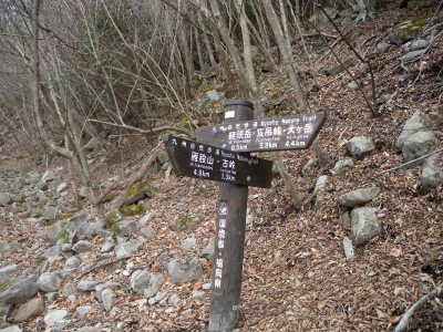 e0272335_5493686.jpg
