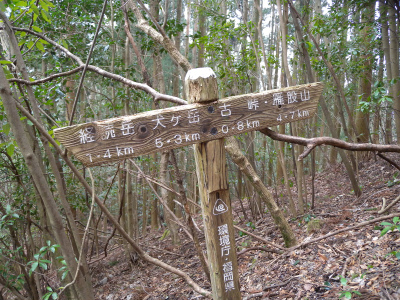 e0272335_8224952.jpg