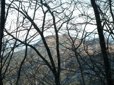 e0272335_915518.jpg