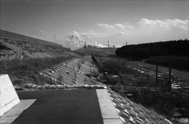 d0169755_83592.jpg