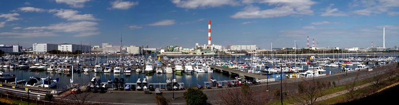 d0031171_834295.jpg