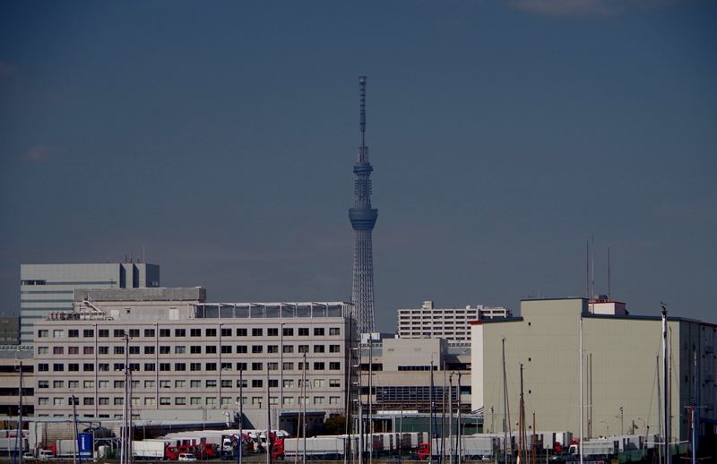 d0031171_8431090.jpg