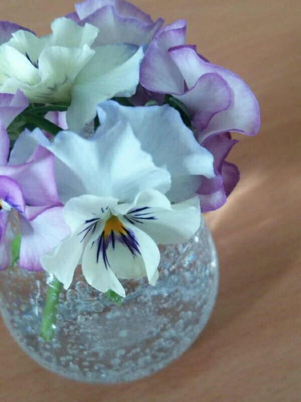 c0018693_16515184.jpg