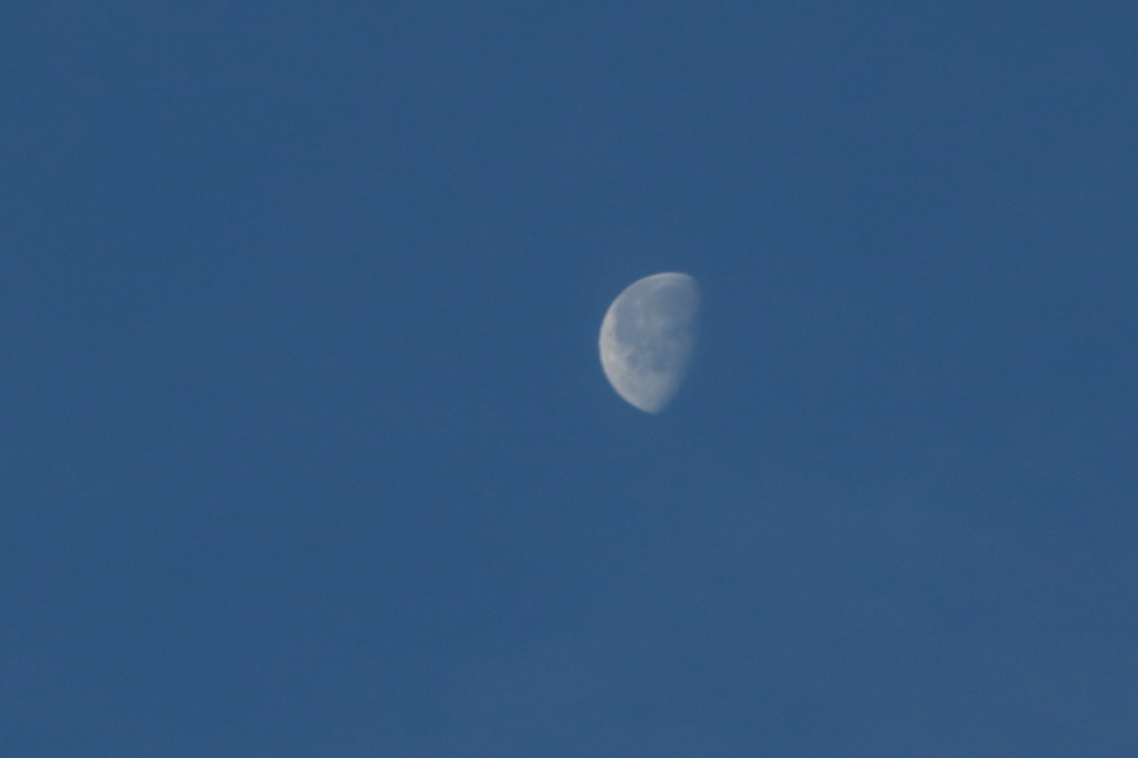 a0188405_23432570.jpg