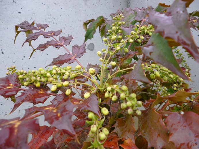 f0228619_16274950.jpg