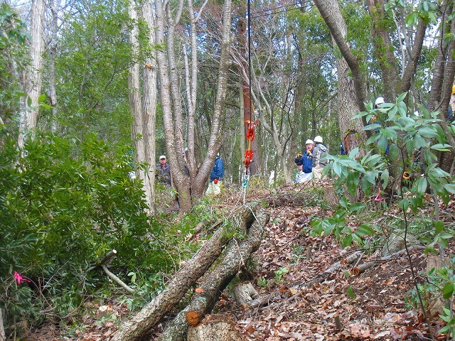 e0002820_21101453.jpg
