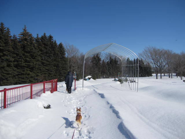 e0191826_0545419.jpg
