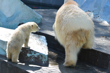 f0344626_23095038.jpg
