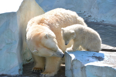 f0344626_23381011.jpg