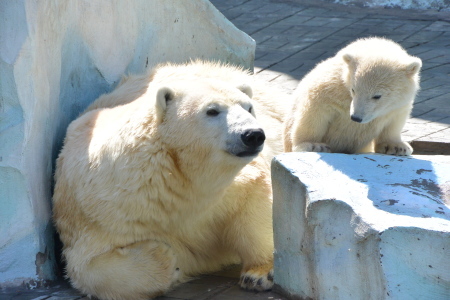 f0344626_23393425.jpg