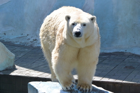 f0344626_23401368.jpg