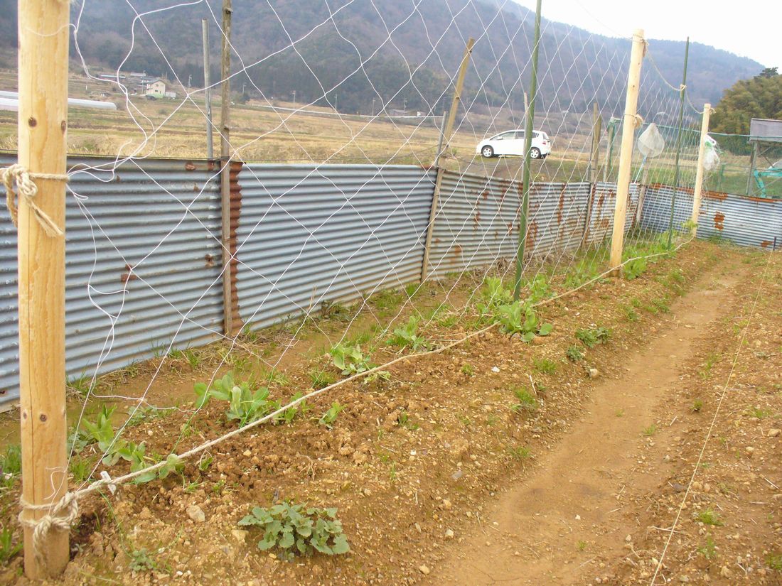 f0346527_22182114.jpg