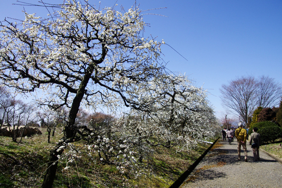 d0250028_89437.jpg