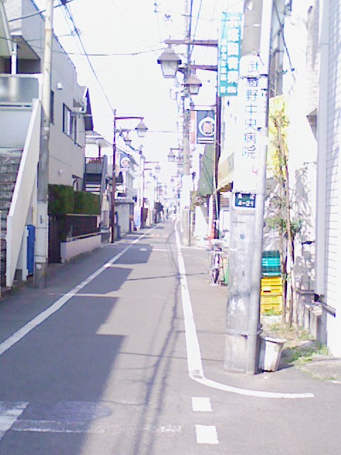 b0031140_20492574.jpg