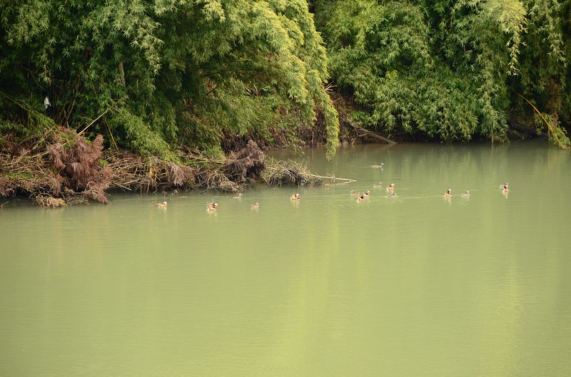 b0288942_16455187.jpg