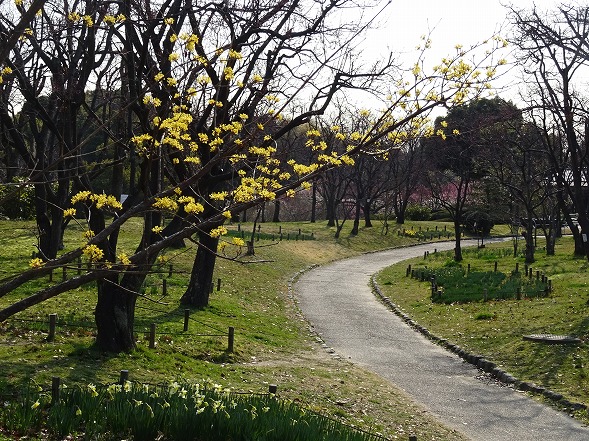 b0299042_2057420.jpg