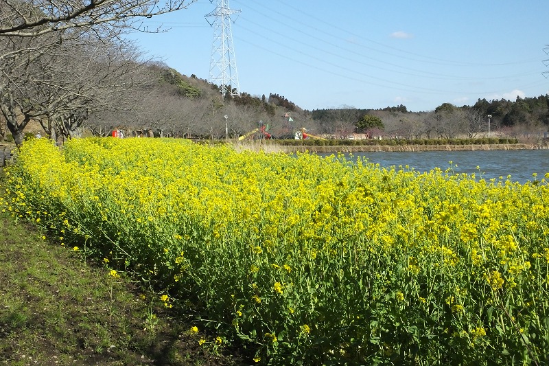 b0236251_18233737.jpg