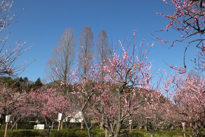 b0236251_183293.jpg