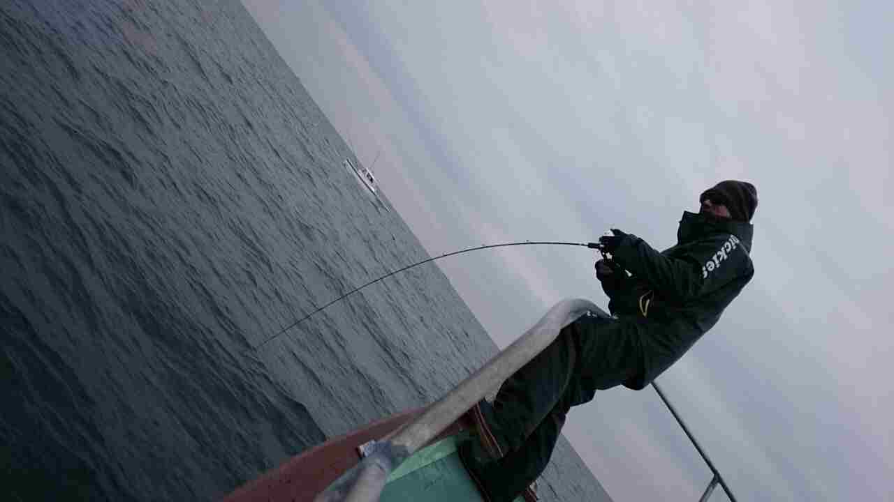 a0248152_1749522.jpg