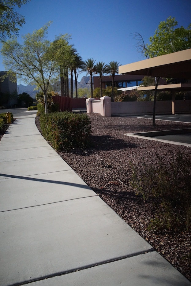 f0134963_15482544.jpg