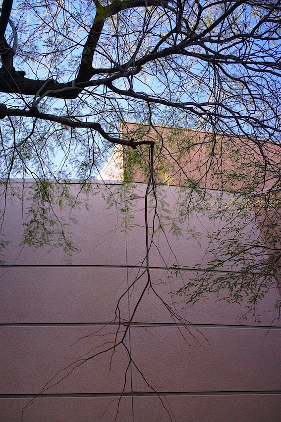 f0134963_15552317.jpg
