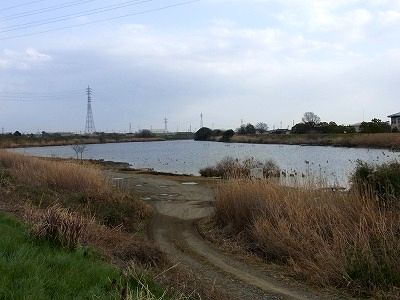 f0106664_7575593.jpg
