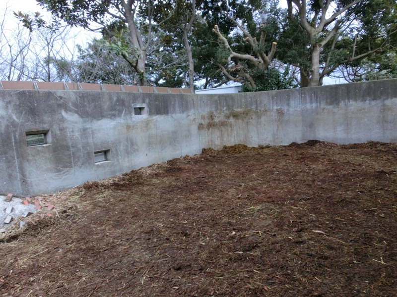 e0266067_17002082.jpg