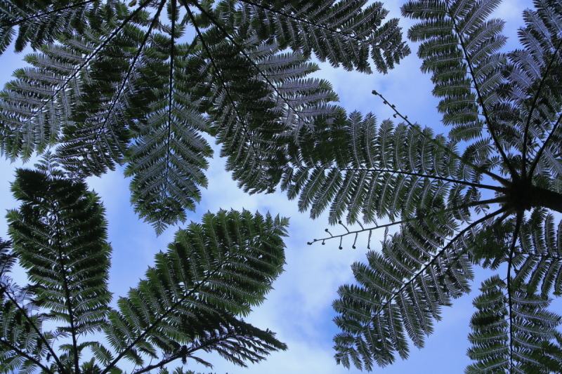 c0268775_00053551.jpg