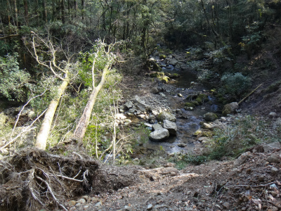 d0182075_9232196.jpg