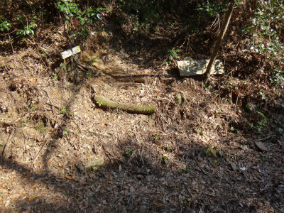 d0182075_938291.jpg