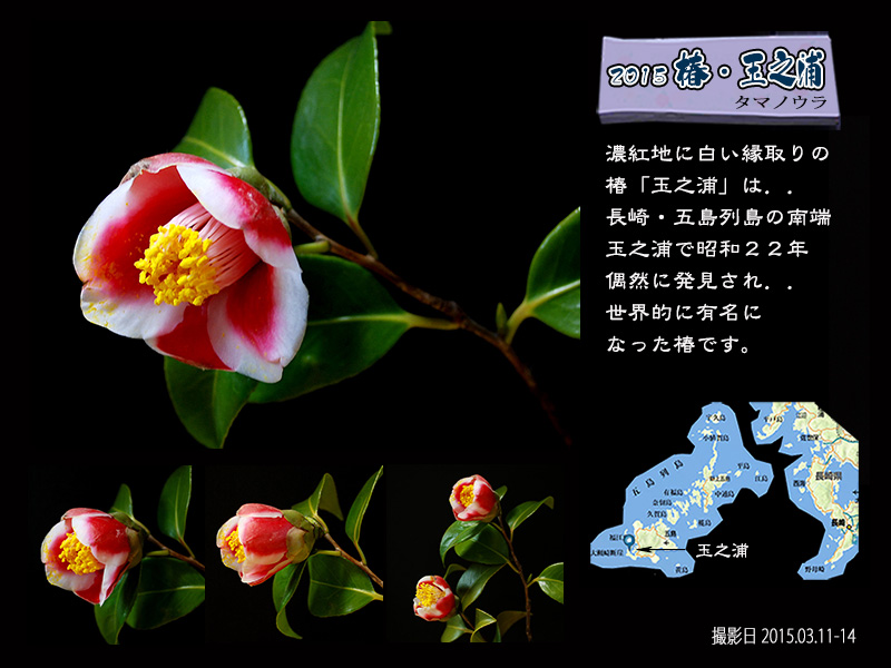 c0009981_12211232.jpg