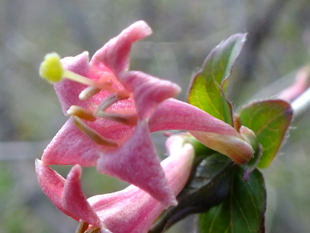 e0145782_1444559.jpg