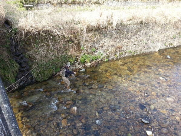 f0183484_1926159.jpg