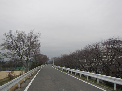 a0251786_20144147.jpg