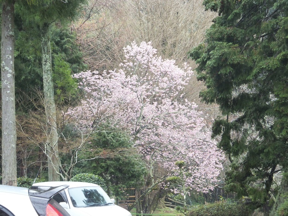 b0052286_2171549.jpg