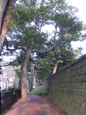 e0123587_21492714.jpg