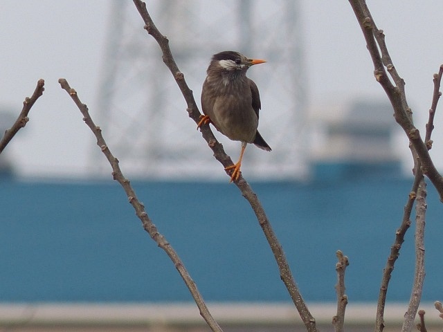 f0357487_2001374.jpg