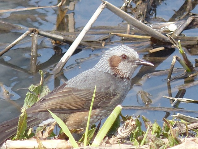 f0357487_2014561.jpg