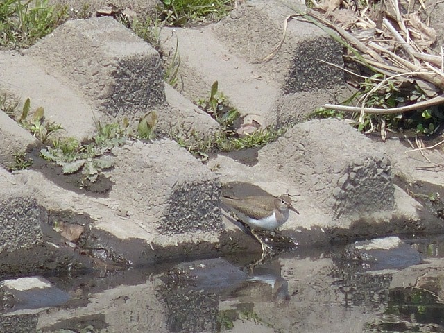 f0357487_2052192.jpg