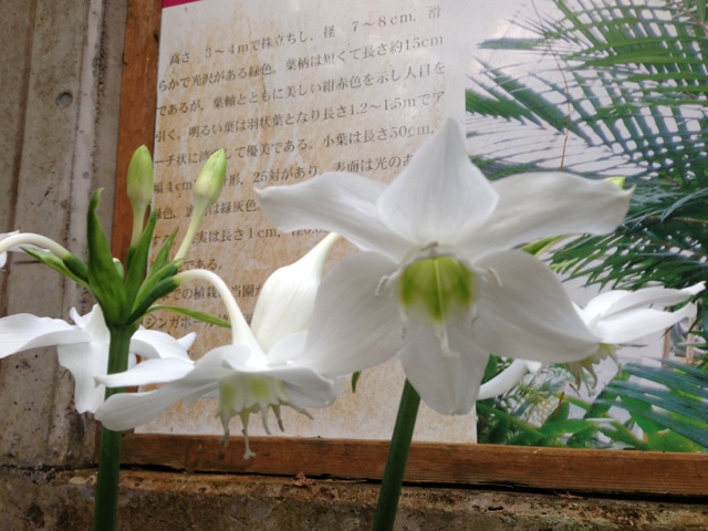 e0145589_00344.jpg