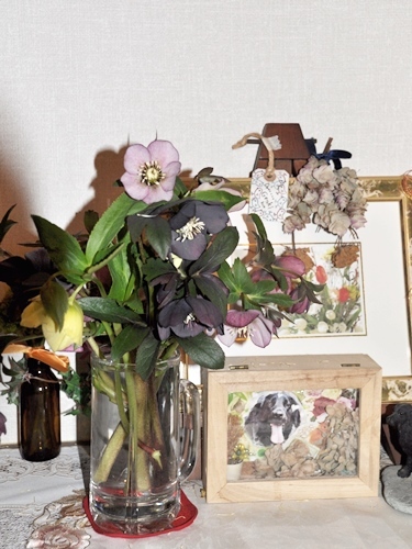 f0176499_20112891.jpg