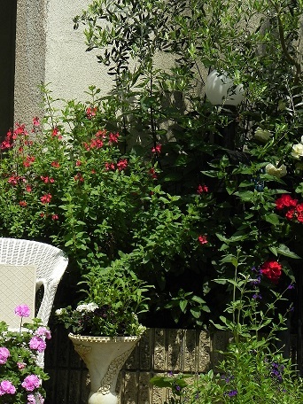 c0152002_18372141.jpg
